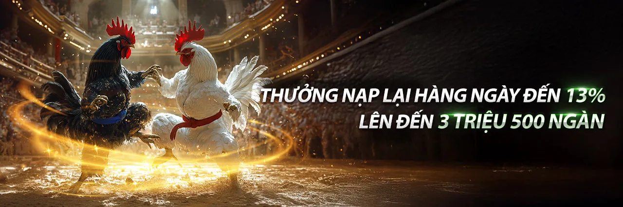 Sân vận động đầy ắp khán giả với ánh đèn rực rỡ, biểu tượng cho cá cược thể thao đỉnh cao tại 8kbet456